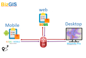 SIG Para Negocios En Mypes